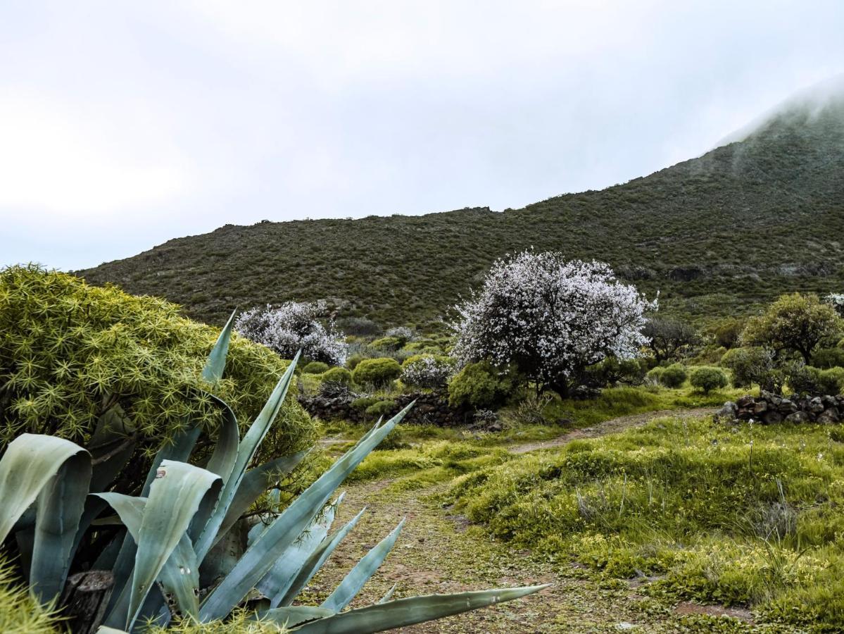 Luxury Villa In Nature With Swimming Pool Tenerife, Santiago Del Teide, With Sea And Mountain Views El Retamar Kültér fotó