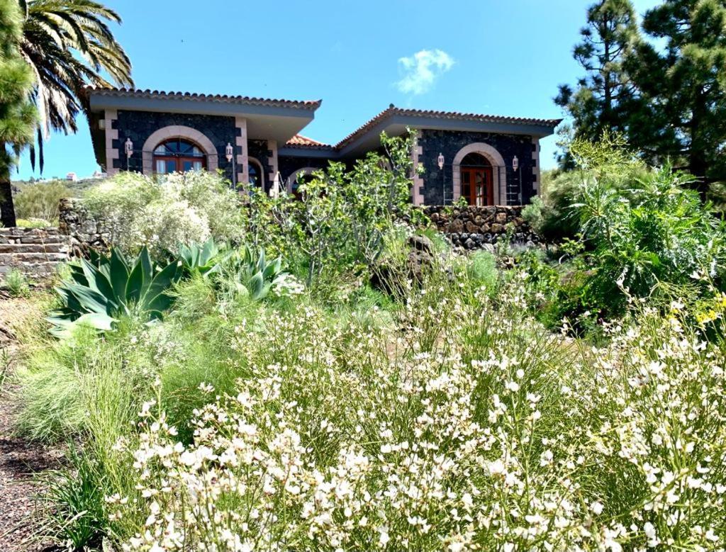 Luxury Villa In Nature With Swimming Pool Tenerife, Santiago Del Teide, With Sea And Mountain Views El Retamar Kültér fotó